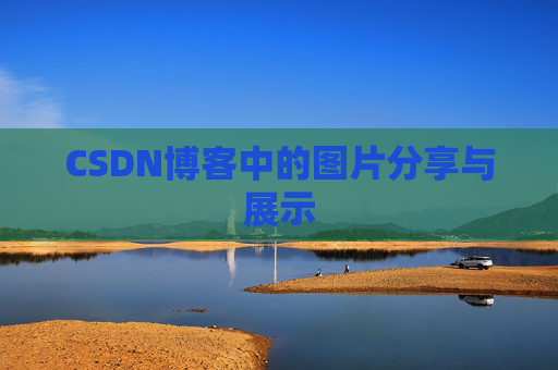 CSDN博客中的图片分享与展示